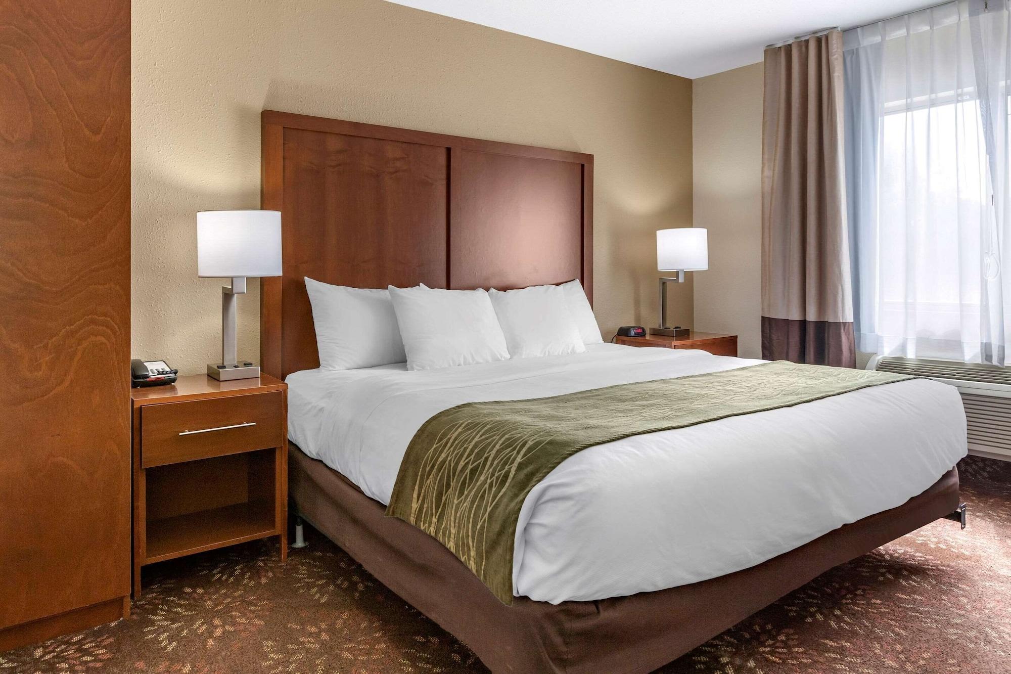 Comfort Inn Okemos - East Lansing Екстер'єр фото
