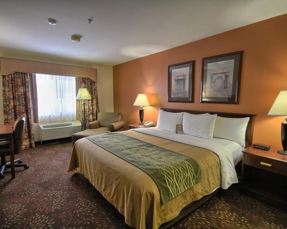 Comfort Inn Okemos - East Lansing Екстер'єр фото